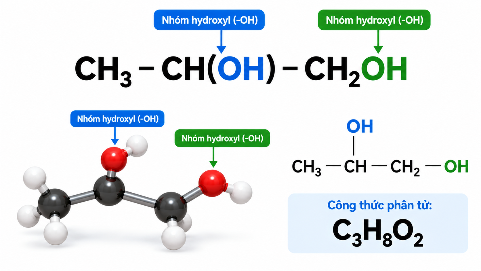 Công thức cấu tạo Mono Propylene Glycol C₃H₈O₂, CAS 57-55-6.